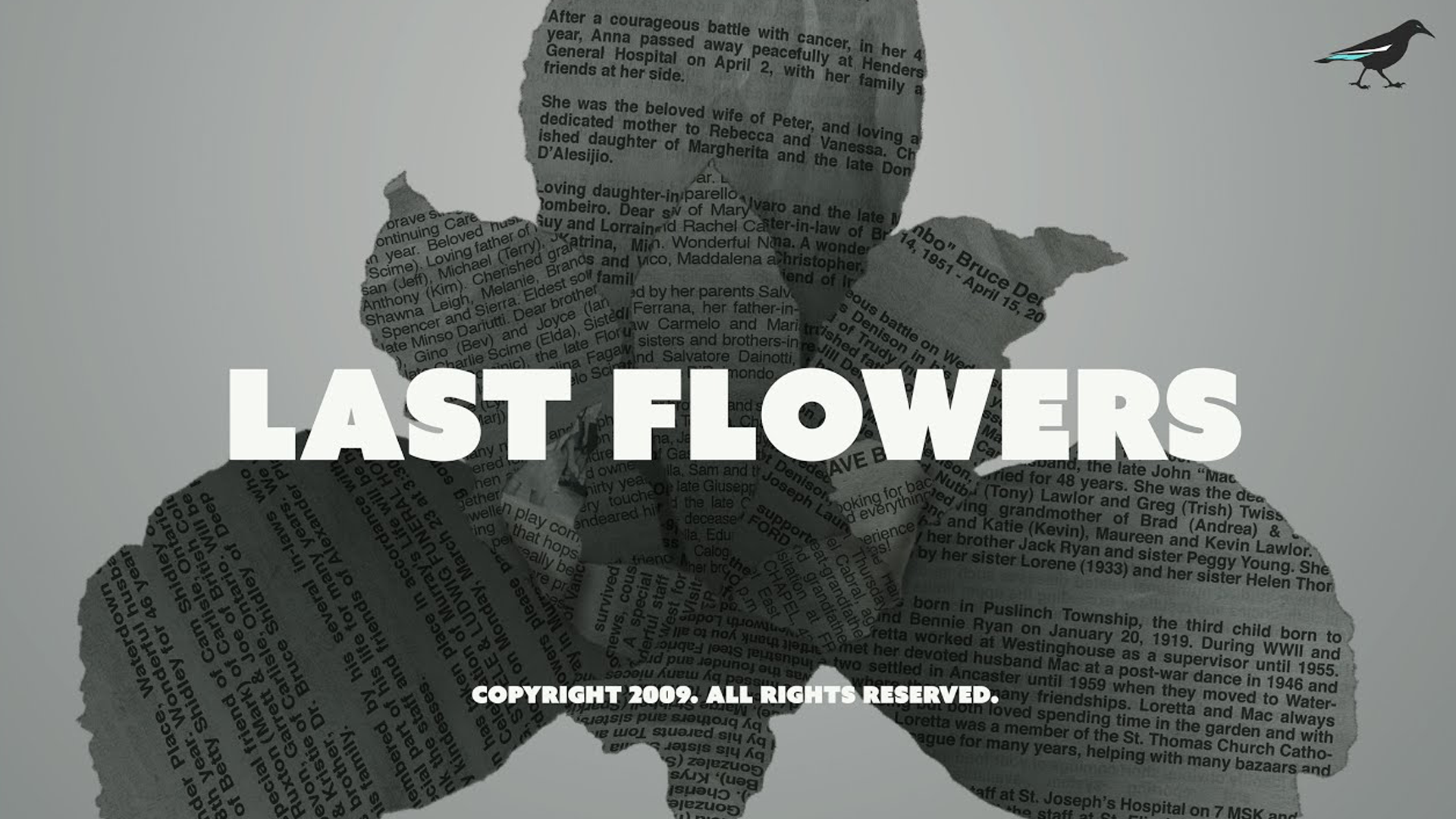 last flowers